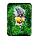 Recherche de lemur magnete Pour tous