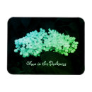 Recherche de obscurité magnets Vert