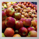 Zoek naar appelen posters Foto