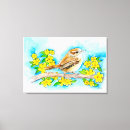 Recherche de laine art Aquarelle