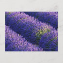 Recherche de abondance cartes postales Décoration