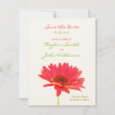 Recherche de fleurs marguerite gerbera invitations Floral