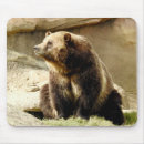 Recherche de ours gris tapis souris Animal