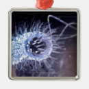 Zoek naar bacterie ornamenten Uitzicht