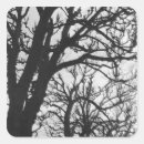 Recherche de style photographique autocollants Noir et blanc