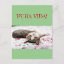 Recherche de v cartes postales Humour