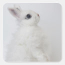 Recherche de curiosité autocollants Vertical