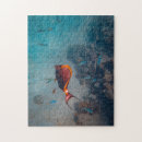 Recherche de poisson photographie Pour elle