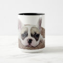 Recherche de tête taureau tasses Animal