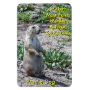 Recherche de refuge magnets Chien