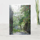 Recherche de rossi vœux cartes Rosier