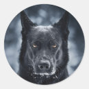 Recherche de german shepherd autocollants Dog
