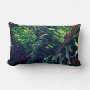 Recherche de conifères coussins Forêt