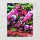 Recherche de betteraves cartes postales Rouge