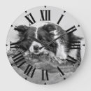 Recherche de colley horloges Collie bore