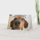 Zoek naar hond neus kaarten Humor