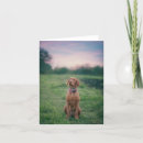 Recherche de chiens sportifs vœux cartes Animal