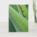 Recherche de agave vœux cartes Habitat