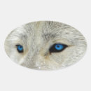 Recherche de loup arctique autocollants Pour tous