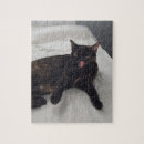 Recherche de tortue mignonne puzzles Chat