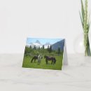 Recherche de mules cartes postales Wyoming