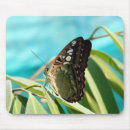 Recherche de ailes papillon tapis souris Nature
