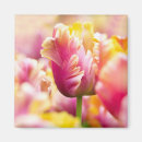 Recherche de ampoule de tulipe magnets Jardin