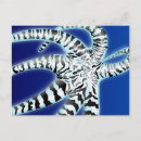 Recherche de poulpe cartes postales Anime