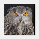 Recherche de dessin d aigle magnets Illustration
