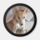 Zoek naar pet photo magnets Puppy