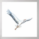 Recherche de cigogne posters Faune