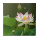 Recherche de lotus carreaux Fleur