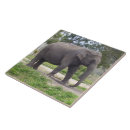 Recherche de éléphant gris carreaux Pour tous