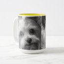 Recherche de yorkshire terrier tasses Mignon