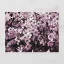 Recherche de arbres fruitiers cartes postales Jardin