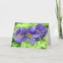 Recherche de horticulture vœux cartes Floral