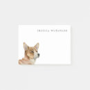 Recherche de corgi Aquarelle