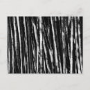 Recherche de bambou cartes postales Noir et blanc
