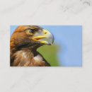 Recherche de oiseau de proie cartes visite Rapace