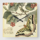 Recherche de libellules horloges Botanique