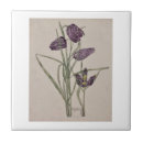 Zoek naar 1915 tegels Bloemen