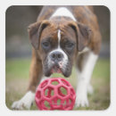 Recherche de alberta autocollants Extérieur