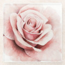 Recherche de fleurs roses dessous de verres Botanique