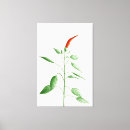 Recherche de cuisson impressions sur toile Légumes
