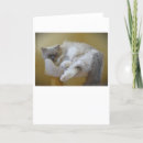 Recherche de lent vœux cartes Animal