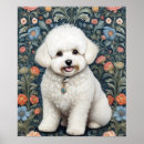 Recherche de frise bichon posters Amoureux des chiens