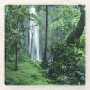 Recherche de kauai dessous de verres Personne