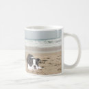 Recherche de terrier de boston tasses Bostons