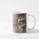 Recherche de loutres tasses Animaux