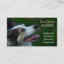 Recherche de races cartes visite Chien